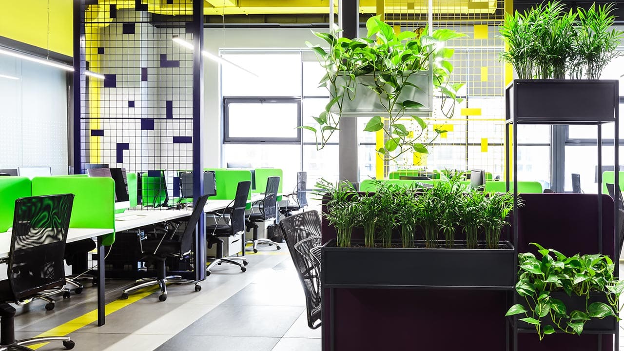 Modern Open Space Office Interior With Green Plant