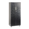 sd iv12 black 2 door storage cabinet with locking doors 1250mm